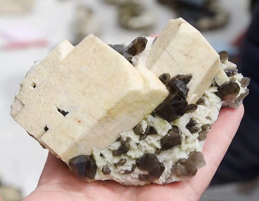 Albite, Orthoclase, Quartz (var. smoky)