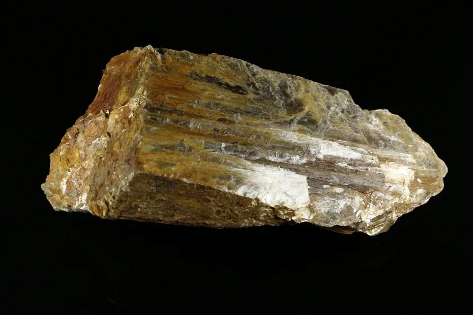 Muscovite