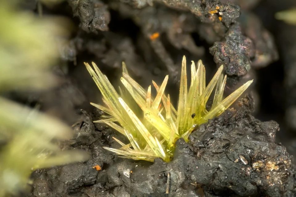 Pyromorphite