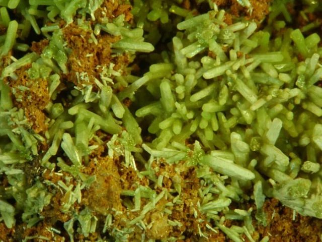 Mineral photo of Pyromorphite from locality Zlaté Hory, Czech Republic