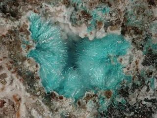 Serpierite