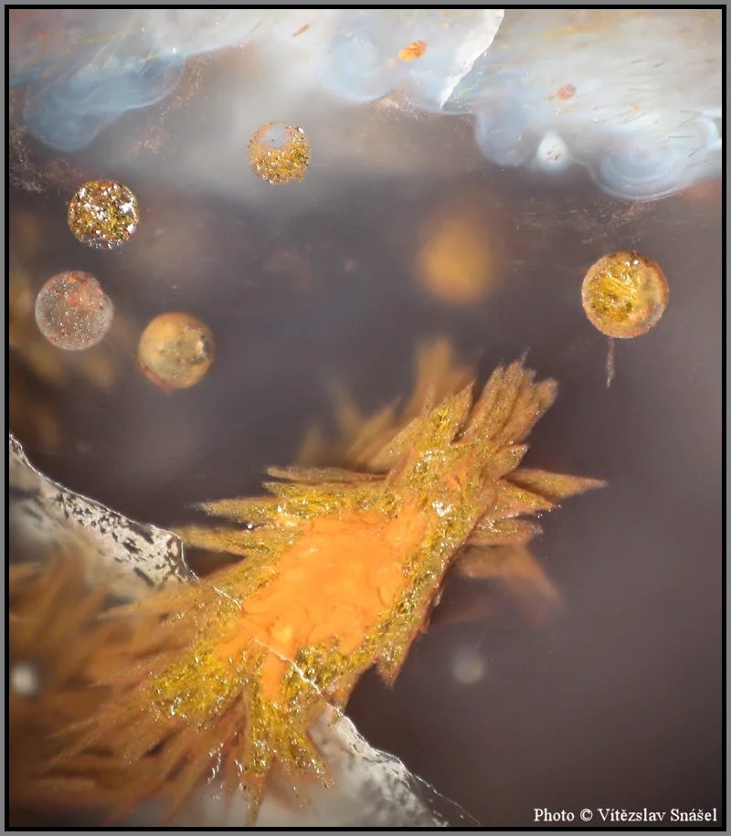 Agate