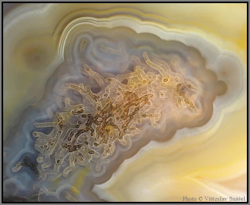 Mineral photo of Agate from locality Rio Grande do Sul, Brazil