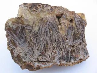 Mineral photo of Agate from locality Cidlina, Czech Republic
