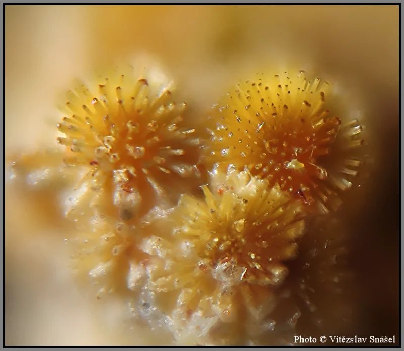 Mineral photo of Cacoxenite from locality La Lande quarry, Brittany, France