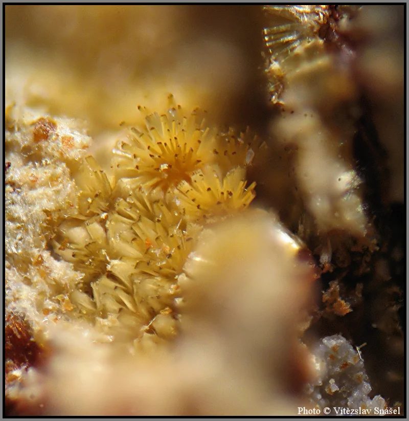 Mineral photo of Cacoxenite from locality La Lande quarry, Brittany, France