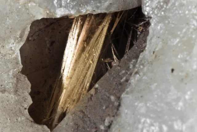 Carpholite