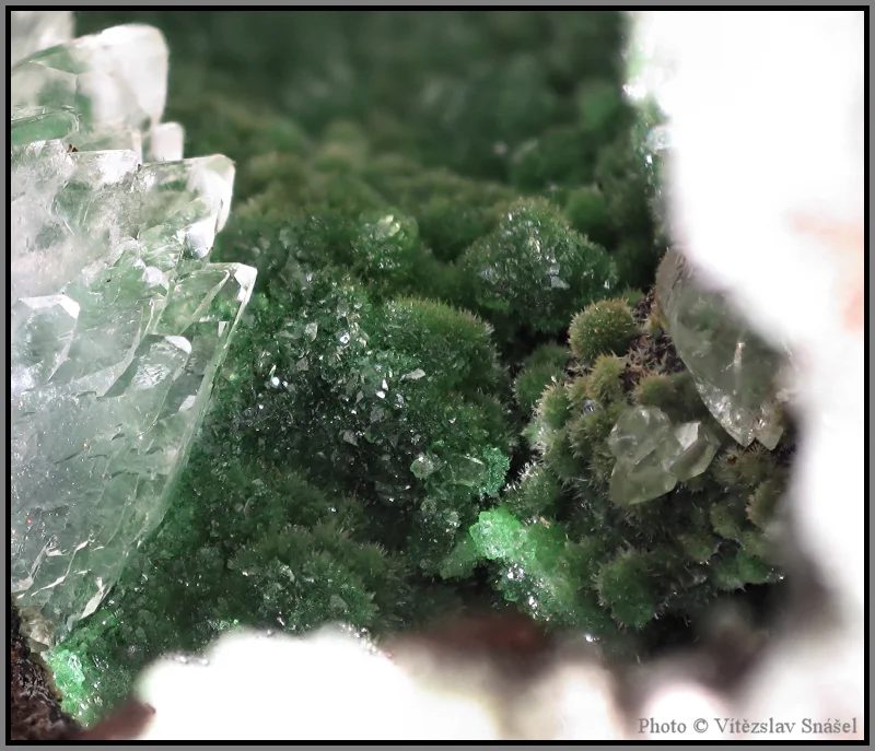 Conichalcite