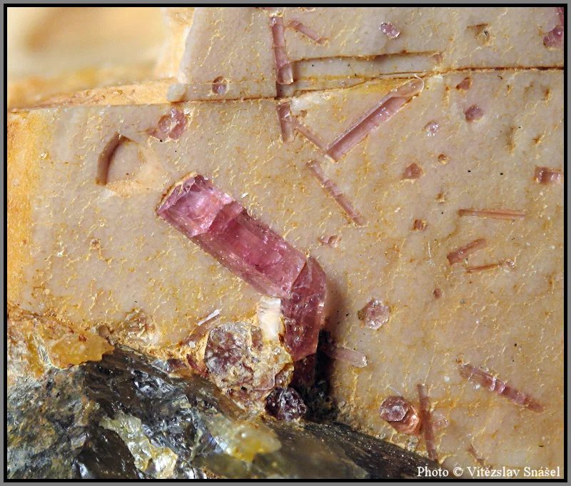 Mineral photo of Elbaite (var. rubellite) from locality Řečice, Czech Republic