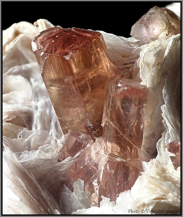 Mineral photo of Elbaite (var. rubellite), Lepidolite from locality Malkhan, Russia