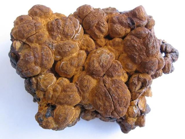 Mineral photo of Limonite from locality Prachovice, Czech Republic