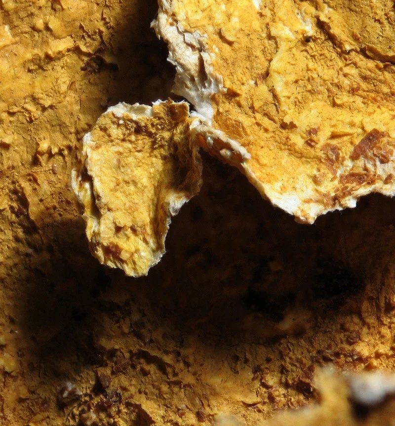 Mineral photo of Palygorskite from locality Moravské Bránice, Czech Republic