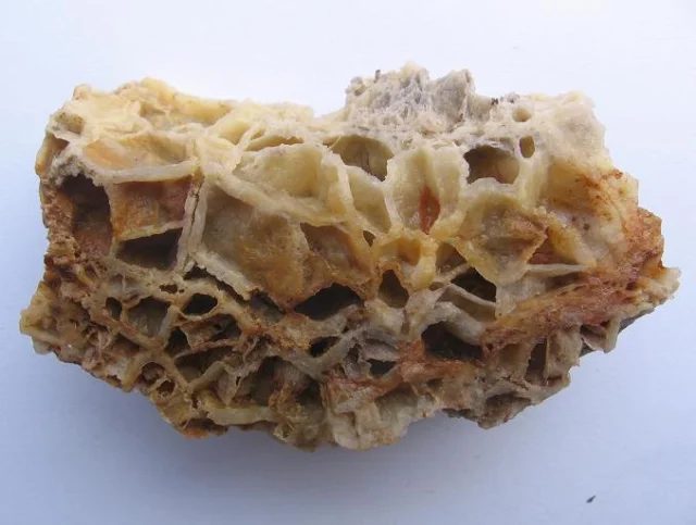 Mineral photo of Quartz from locality Běstvina, Czech Republic
