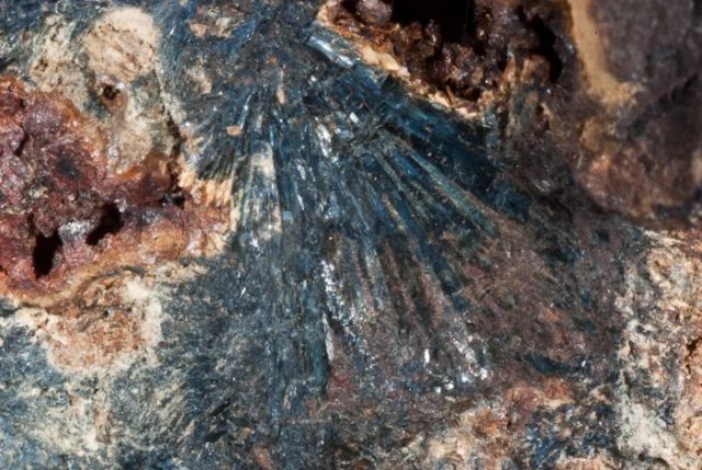 Mineral photo of Vivianite from locality Soos u Fr. Lázní, Czech Republic