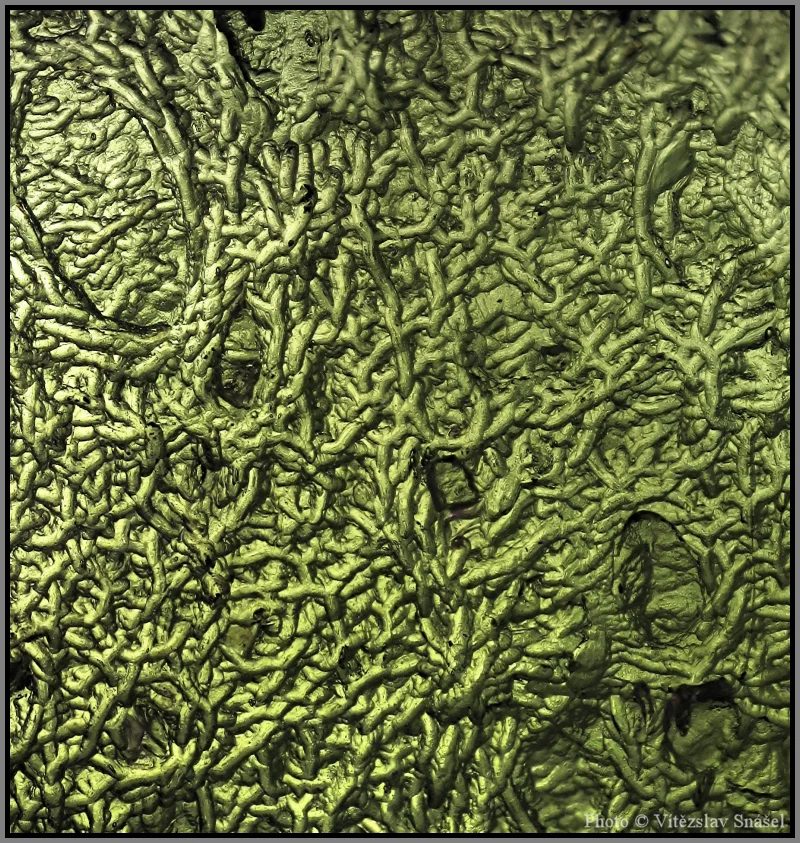 Moldavite