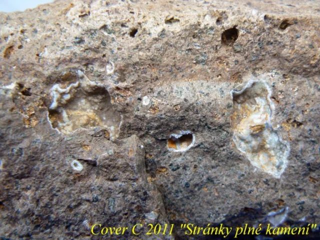 Quartz (var. chalcedony)