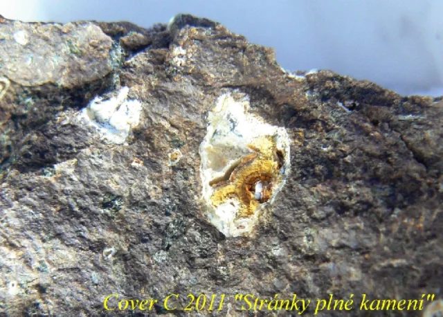 Quartz (var. chalcedony)