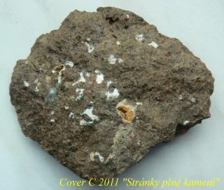 Quartz (var. chalcedony)