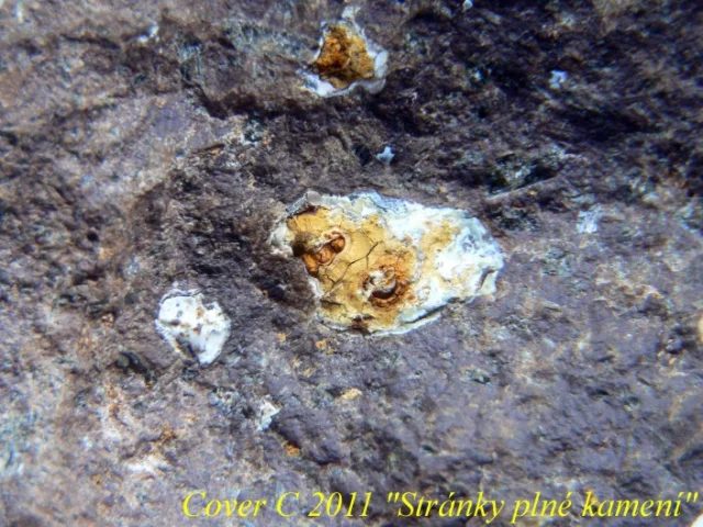 Quartz (var. chalcedony)