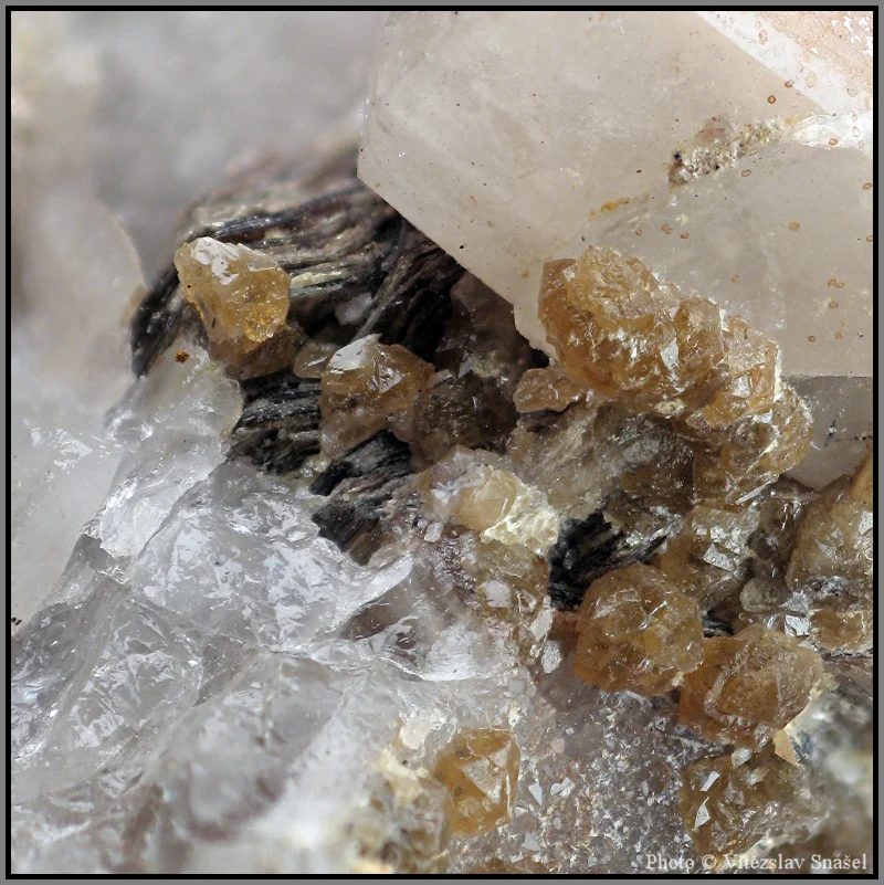 Mineral photo of Quartz, Scheelite from locality Cínovec, Czech Republic
