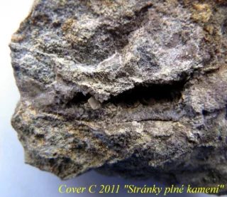 Tridymite