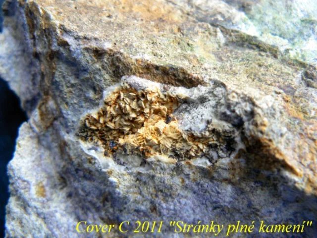 Cristoballite, Tridymite