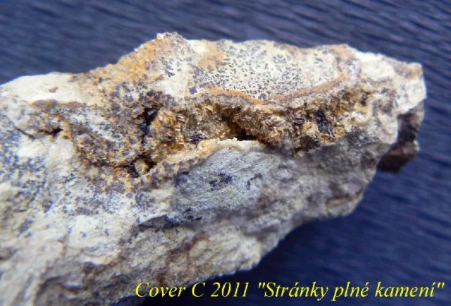 Pyrolusite, Tridymite