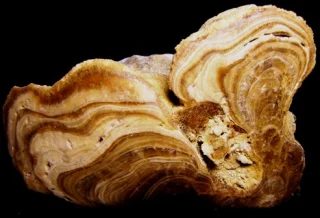 Calcite