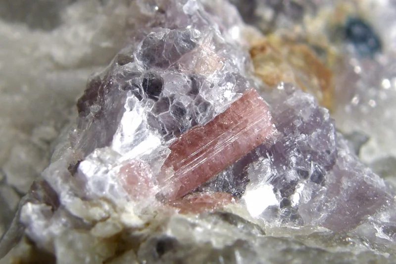 Elbaite (var. rubellite), Lepidolite