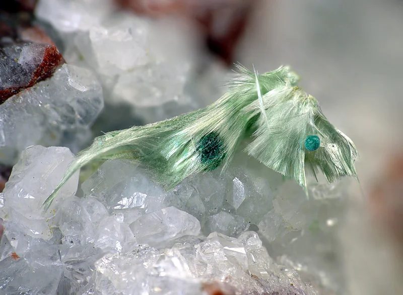 Mineral photo of Malachite, Olivenite from locality Moldava, Czech Republic