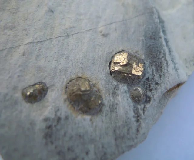 Mineral photo of Pyrite from locality Úpohlavy, Czech Republic