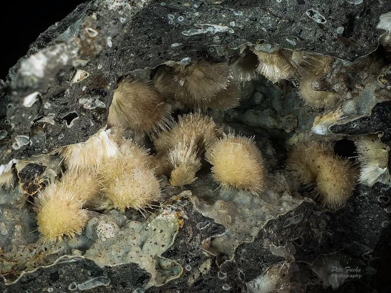 Natrolite