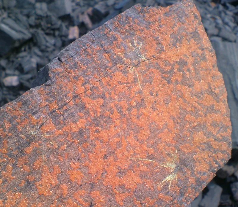 Mineral photo of Millerite from locality Staříč, Czech Republic