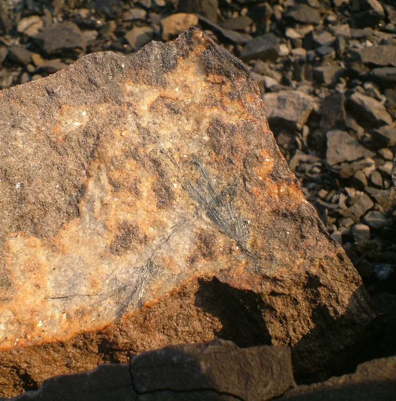 Mineral photo of Millerite from locality Staříč, Czech Republic
