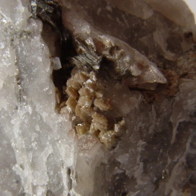 Mineral photo of Scheelite from locality Cínovec, Czech Republic
