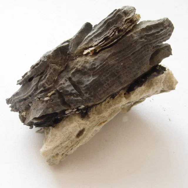 Mineral photo of Stibarsen from locality Příbram, Czech Republic