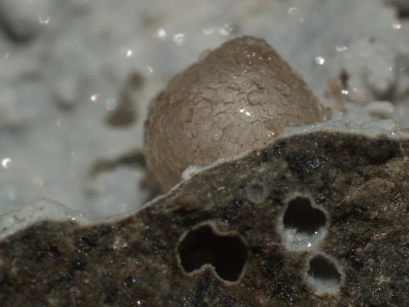 Thomsonite-(Ca)