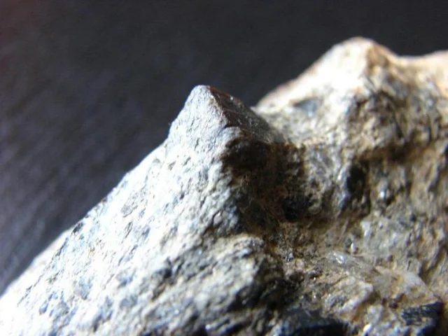 Mineral photo of Staurolite from locality Šerák, Czech Republic