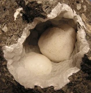 Mineral photo of Thomsonite-(Ca) from locality Děčín, Folknáře, Czech Republic