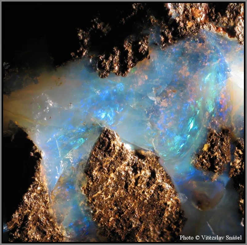 Mineral photo of Opal (var. precious) from locality Quilpie, Queensland, Australia