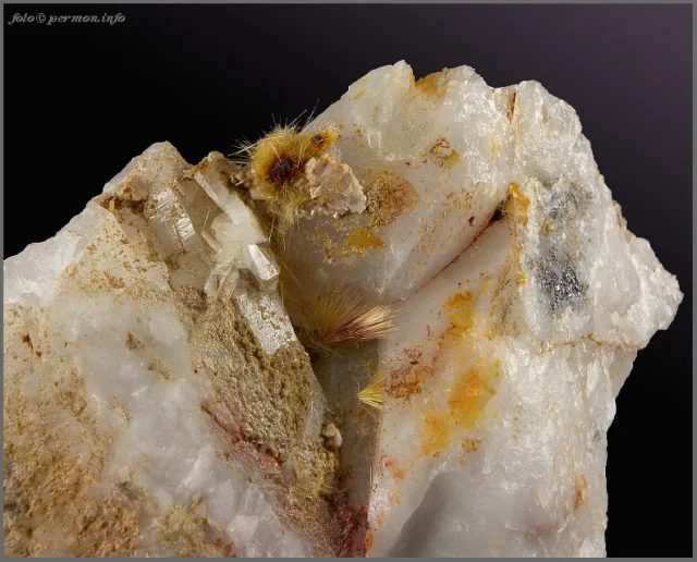 Carpholite
