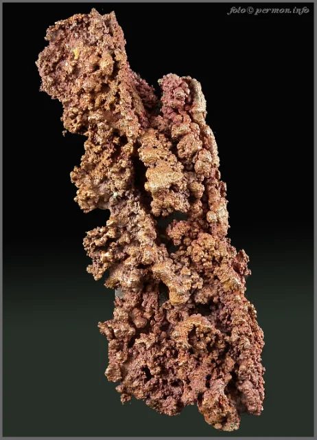 Mineral photo of Copper from locality Zlaté Hory, Czech Republic