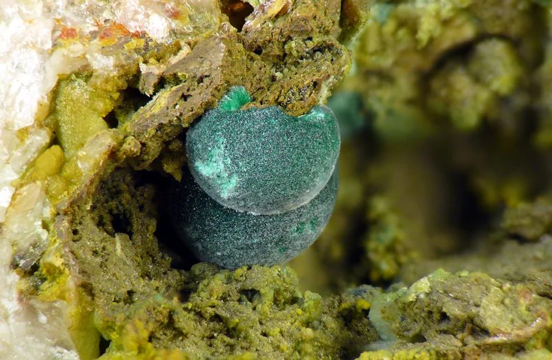 Mineral photo of Malachite from locality Cínovec, Czech Republic