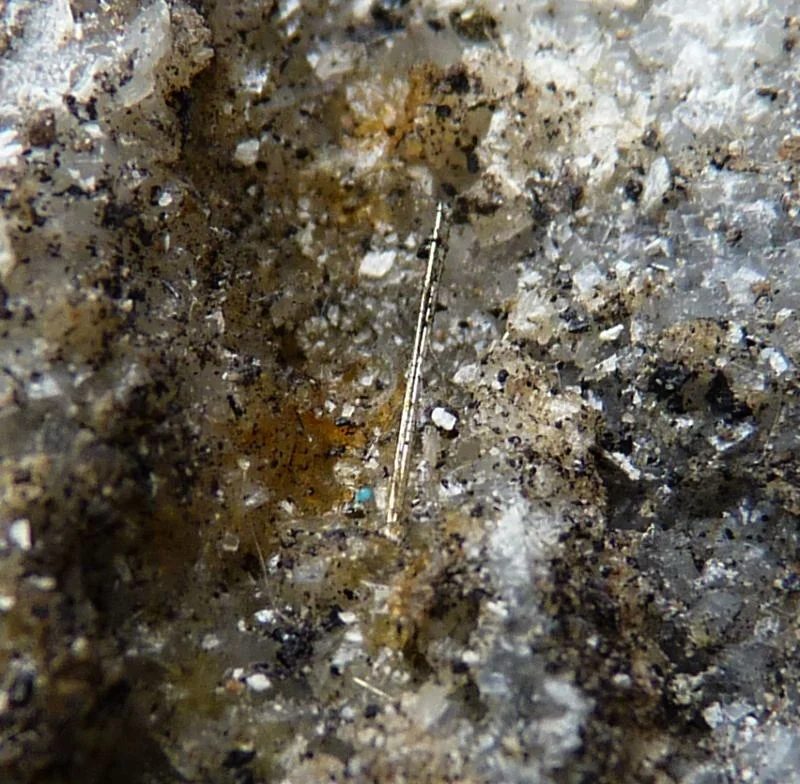 Mineral photo of Millerite from locality Staříč, Czech Republic