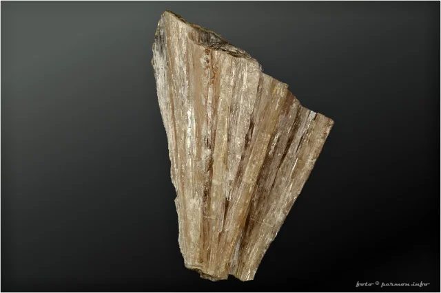 Mineral photo of Aragonite from locality Všechlapy, Czech Republic