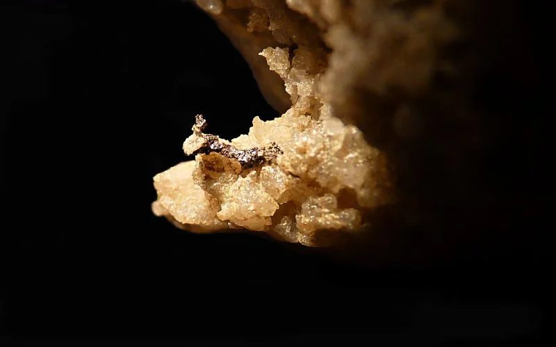 Gold (var. electrum)