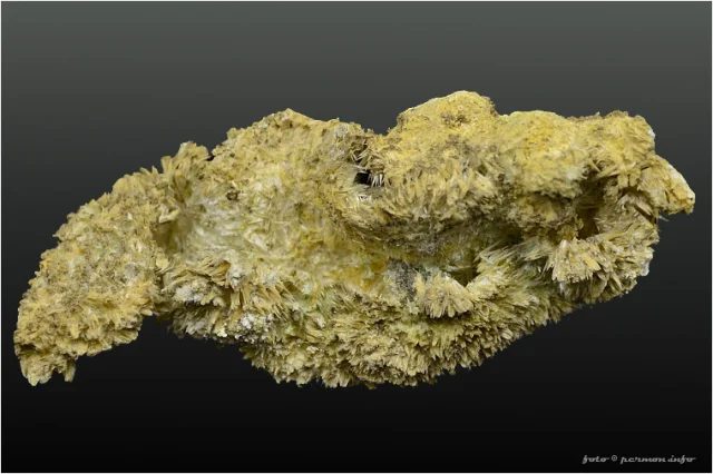 Halotrichite