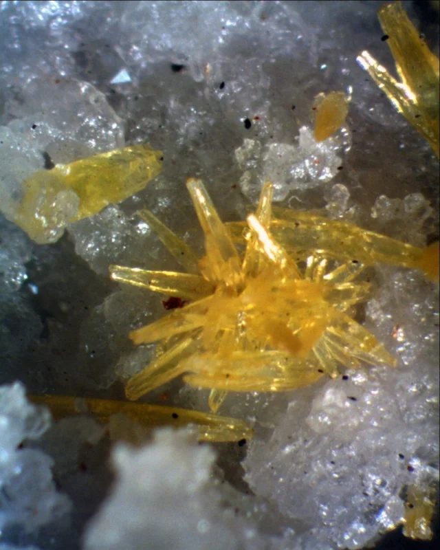 Mimetite