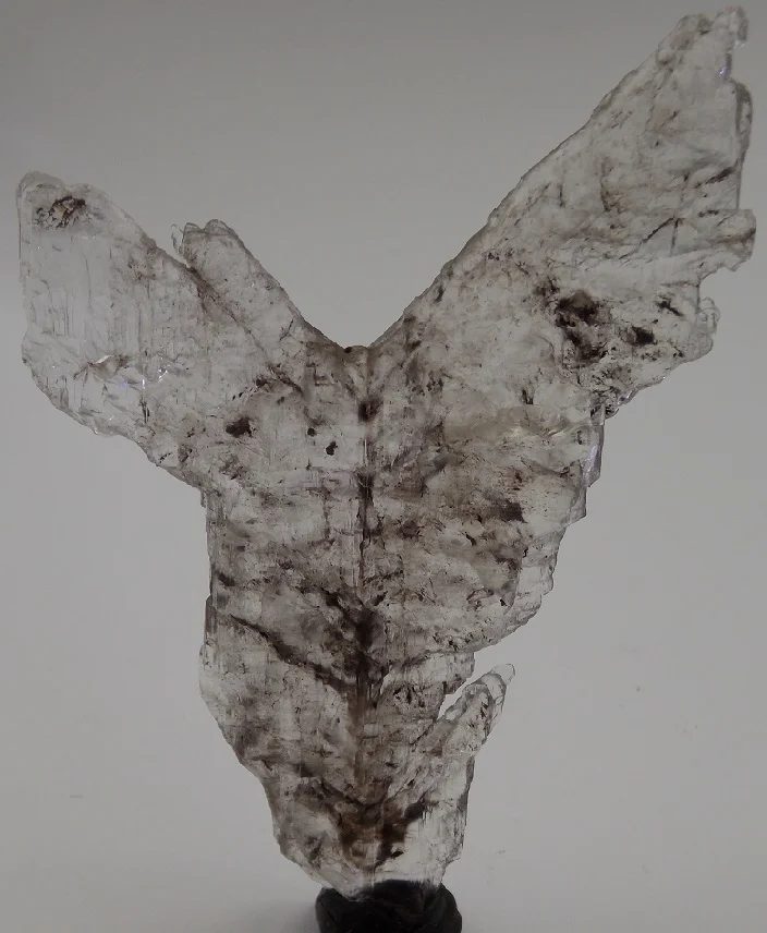 Mineral photo of Gypsum from locality Praha - Strašnice, Czech Republic