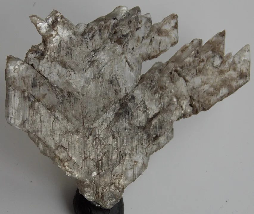 Mineral photo of Gypsum from locality Praha - Strašnice, Czech Republic